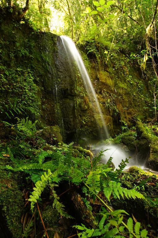 Yucuma Lodge El Soberbio Kültér fotó